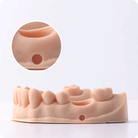 Phrozen Water Washable Dental Model Resin - Beige (1kg)