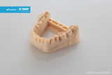 BASF Ultracur3D® DM 2505 - Dental Series Model Beige Resin (1kg)